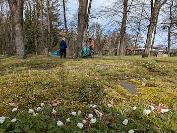 PXL_20250405_081325728