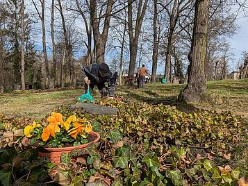 PXL_20250405_081144823